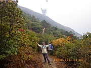 pic_Wai_047.JPG (226326 bytes)