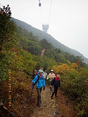pic_Wai_049.JPG (205127 bytes)