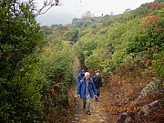 pic_Wai_050.JPG (292155 bytes)