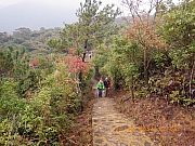 pic_Wai_052.JPG (323669 bytes)