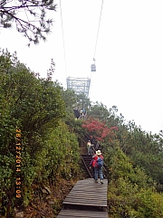 pic_Wai_057.JPG (204894 bytes)
