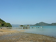 P1040097.JPG (151644 bytes)