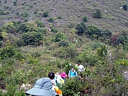P1110012.JPG (363557 bytes)