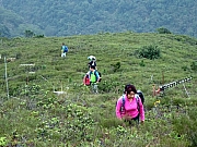 P1110018.JPG (353813 bytes)