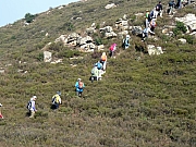 P1110093.JPG (357047 bytes)