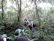 P1180032.jpg (1596443 bytes)