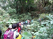 P1250014.JPG (359253 bytes)