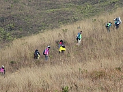 P1250024.JPG (271975 bytes)