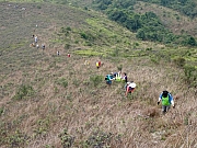 P1250032.JPG (384663 bytes)