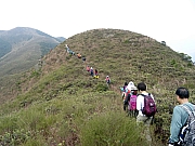 P1250039.JPG (291740 bytes)