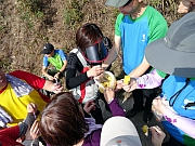 P1250054.JPG (306943 bytes)
