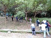 P2010003.JPG (563021 bytes)