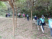 P2010004.JPG (738331 bytes)