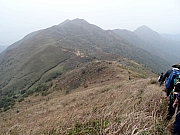 P2010025.JPG (391317 bytes)