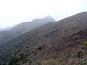 P2010035.JPG (350545 bytes)