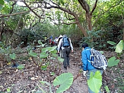 P2080003.JPG (619562 bytes)
