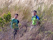 P2080012.JPG (727374 bytes)