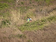 P2080022.JPG (524750 bytes)