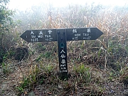 P2150062.JPG (538336 bytes)