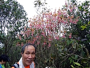 P2150093.JPG (635124 bytes)