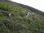 P3010019.JPG (585538 bytes)