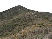 P3010057.JPG (450093 bytes)