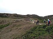 P3010105.JPG (390491 bytes)