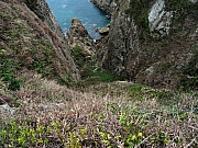 P3010118.JPG (757933 bytes)