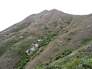 P3010121.JPG (420522 bytes)