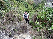 P3010126.JPG (763481 bytes)