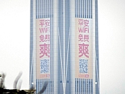 P3080021.JPG (201893 bytes)