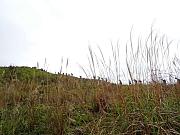 P3080027.JPG (321669 bytes)