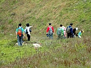 P3080043.JPG (465453 bytes)