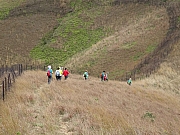 P3080072.JPG (465992 bytes)