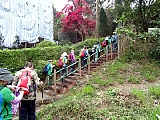 P3150007.JPG (550401 bytes)