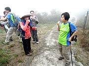 P3150021.JPG (387371 bytes)