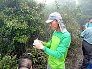 P3150028.JPG (445410 bytes)