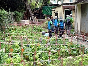 P3150037.JPG (627685 bytes)