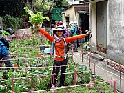 P3150042.JPG (566672 bytes)