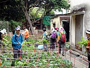 P3150043.JPG (526204 bytes)