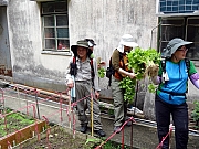P3150044.JPG (469147 bytes)