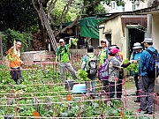 P3150045.JPG (506839 bytes)
