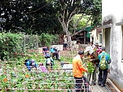 P3150051.JPG (507394 bytes)