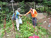 P3150059.JPG (652631 bytes)