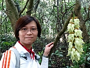 P3220017.JPG (342371 bytes)