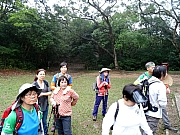 P3220023.JPG (437426 bytes)