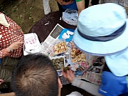 P3220025.JPG (222447 bytes)