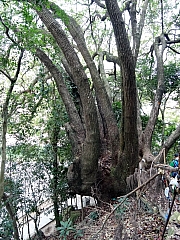 P3220094.JPG (683431 bytes)