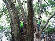 P3220097.JPG (596685 bytes)