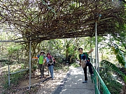 P4050007.JPG (705177 bytes)